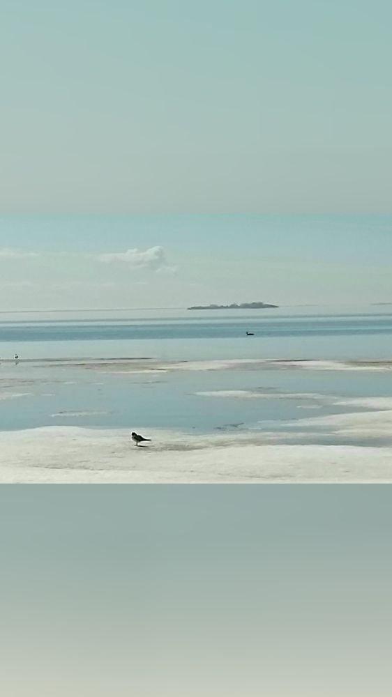 Фотография автора Natali