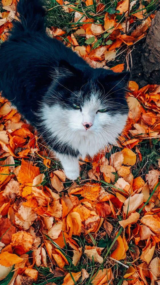 Photograph by Альбина Муртазина