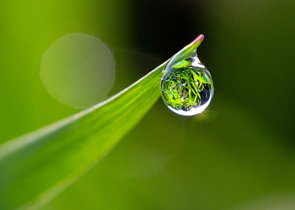 Фотография автора Людмила Прокофьева