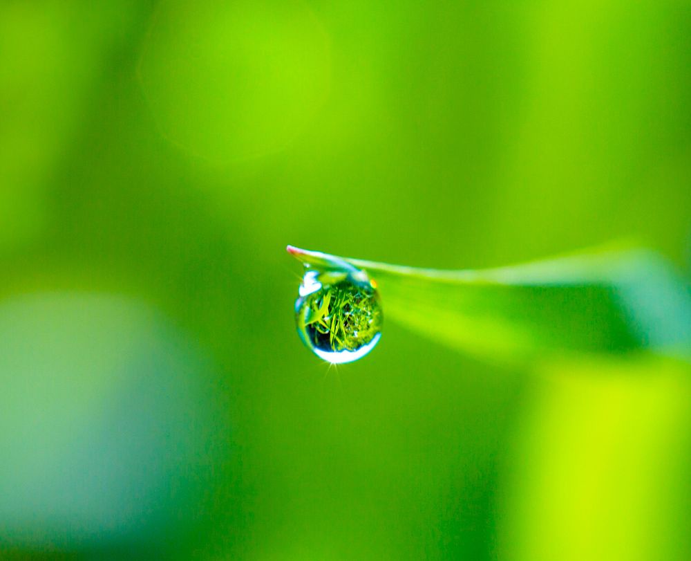 Фотография автора Людмила Прокофьева