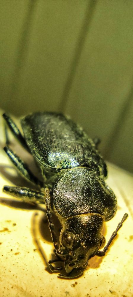 Photograph by Валентин Волк