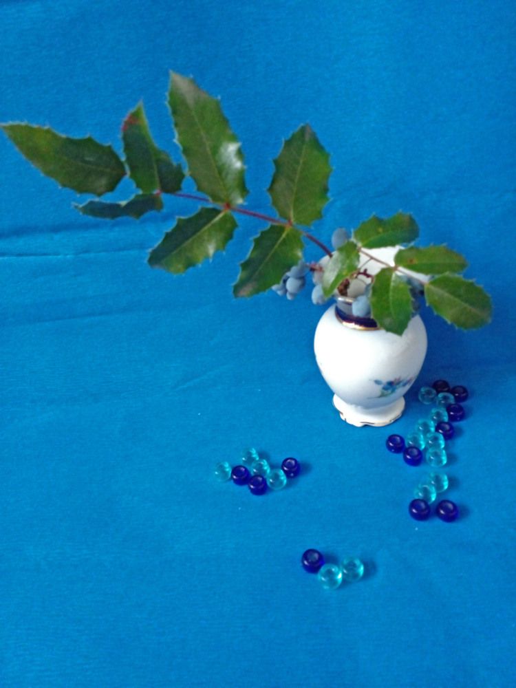 Фотография автора  Lizuza