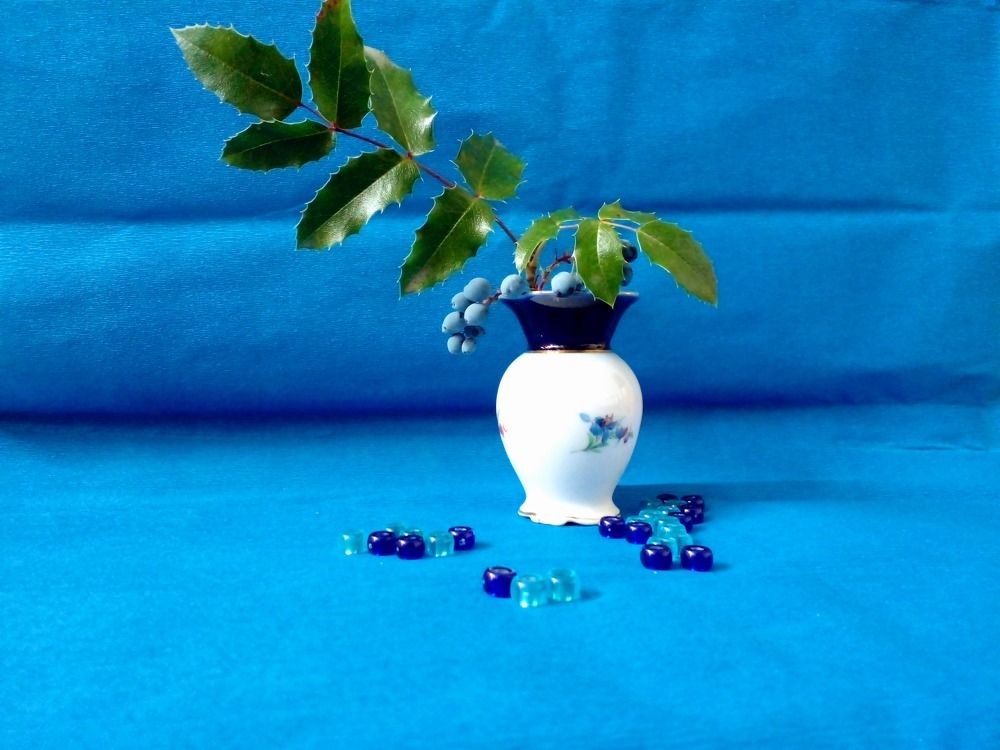 Фотография автора  Lizuza