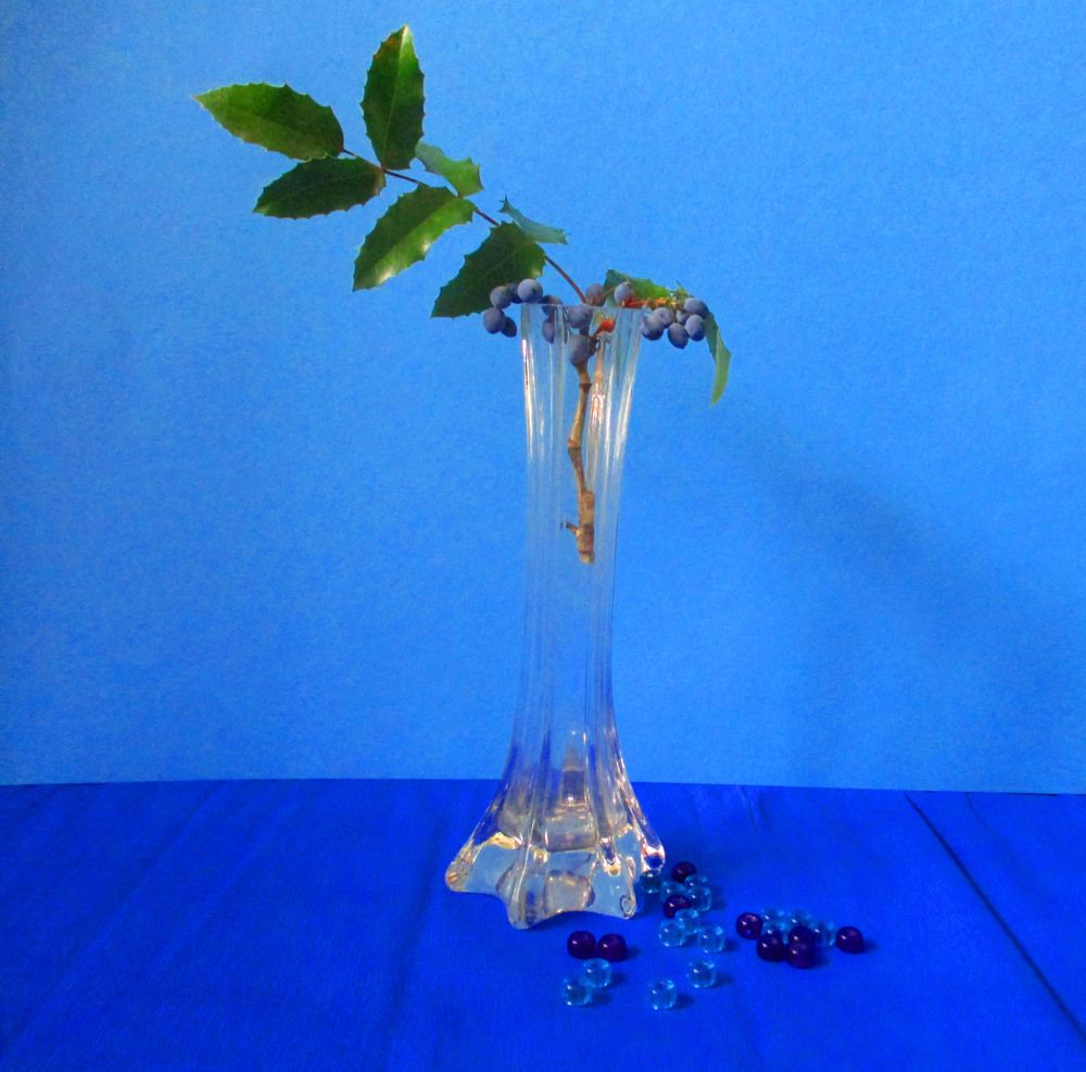 Фотография автора  Lizuza