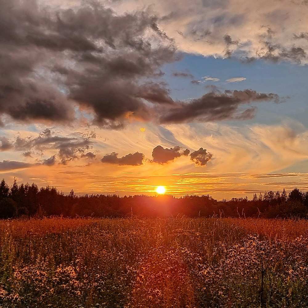 Photograph by Виктор Землянкин