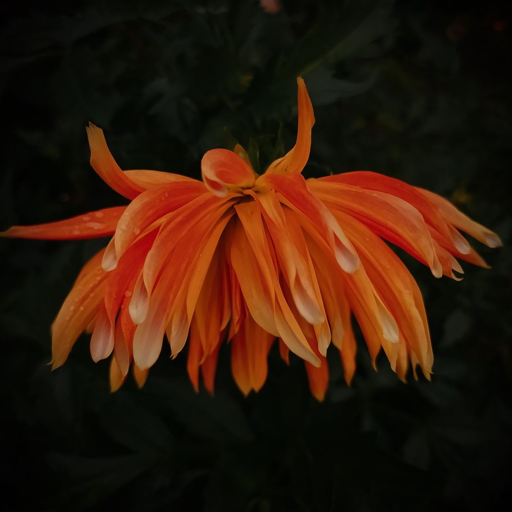 Photograph by Ирина Половцева