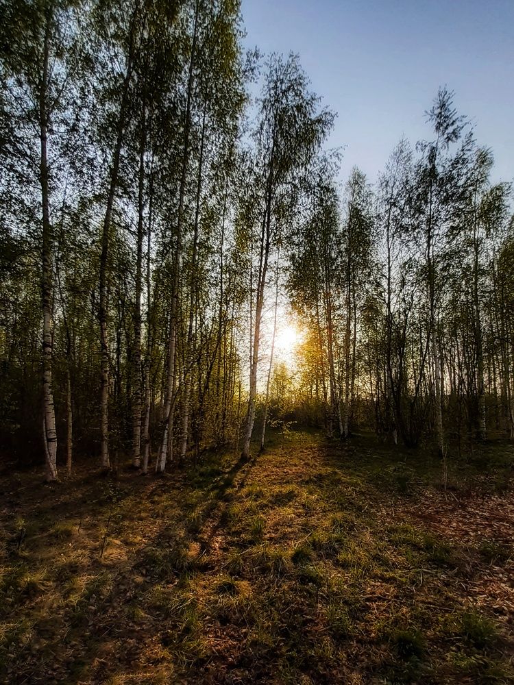 Photograph by Татьяна Смирнова