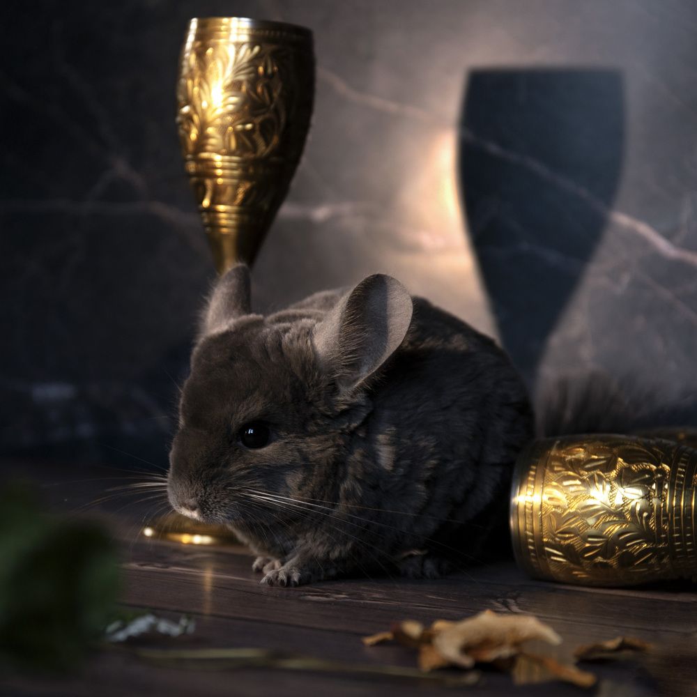 Фотография автора Наталья Смекалина