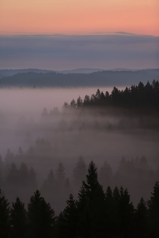 Photograph by Дмитрий Петухов