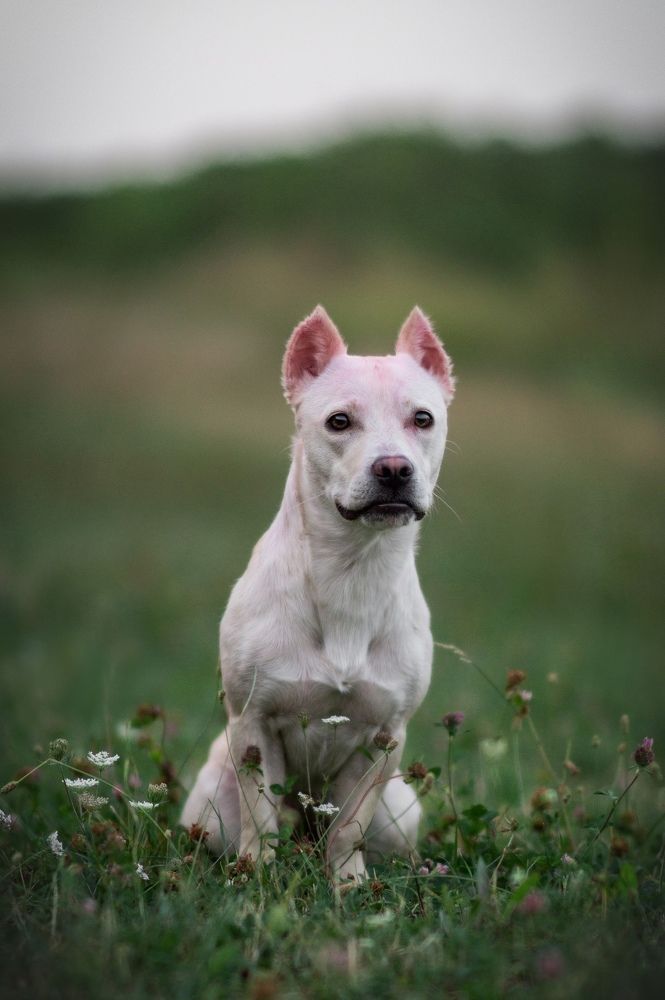 Photograph by Ангелина Ледовская