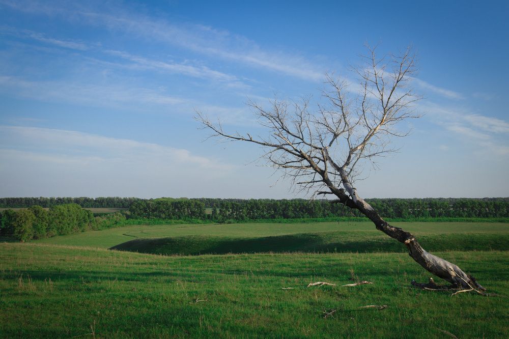 Photograph by Ирина Шевченко