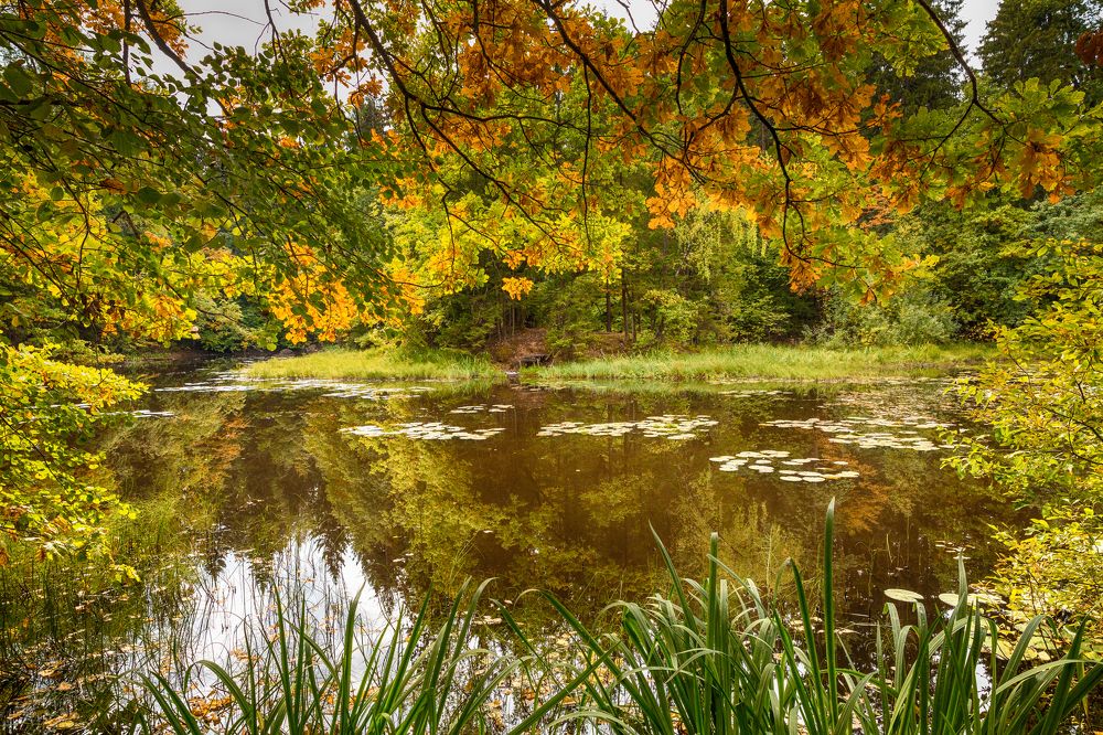 Photograph by Михаил Волков