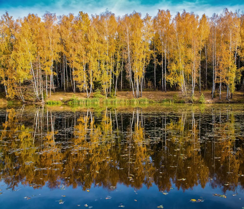 Photograph by Михаил Волков