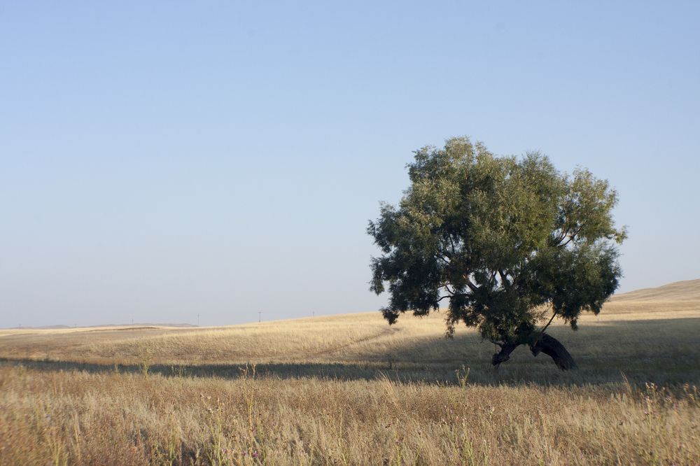 Photograph by Алексей Макаров