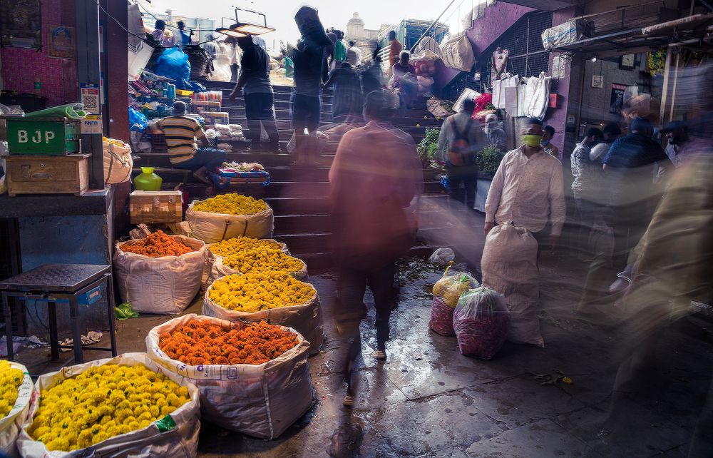 Фотография автора Arka De