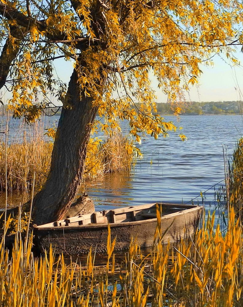 Photograph by Сергей Фунтовой