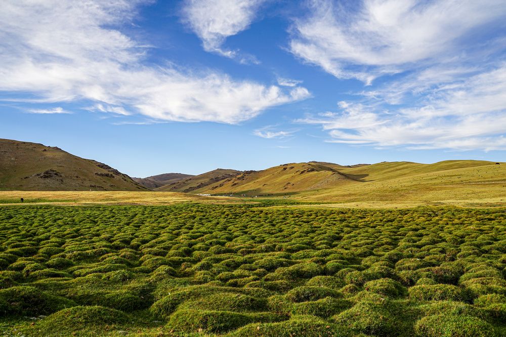 Photograph by Екатерина Дубровская