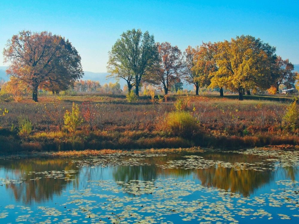 Photograph by Яна Зубкова
