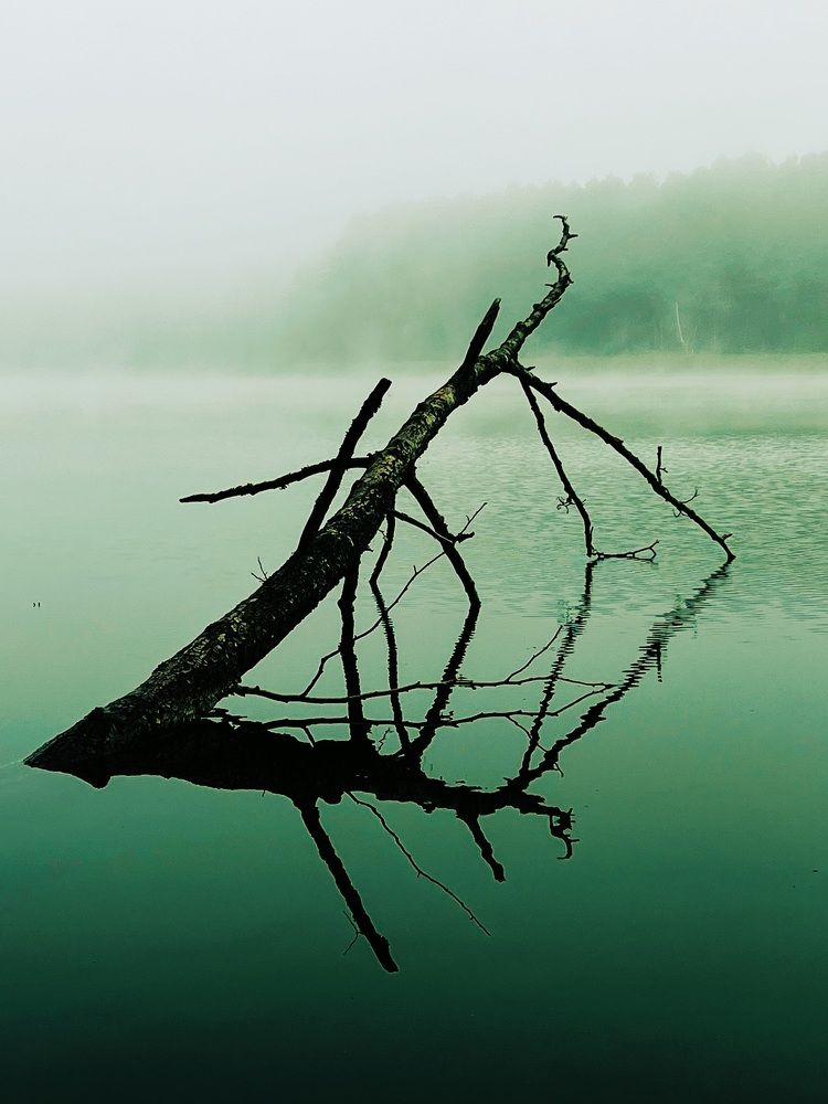 Photograph by Александр Максимов