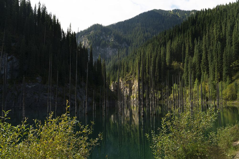 Photograph by Оксана Михайлова