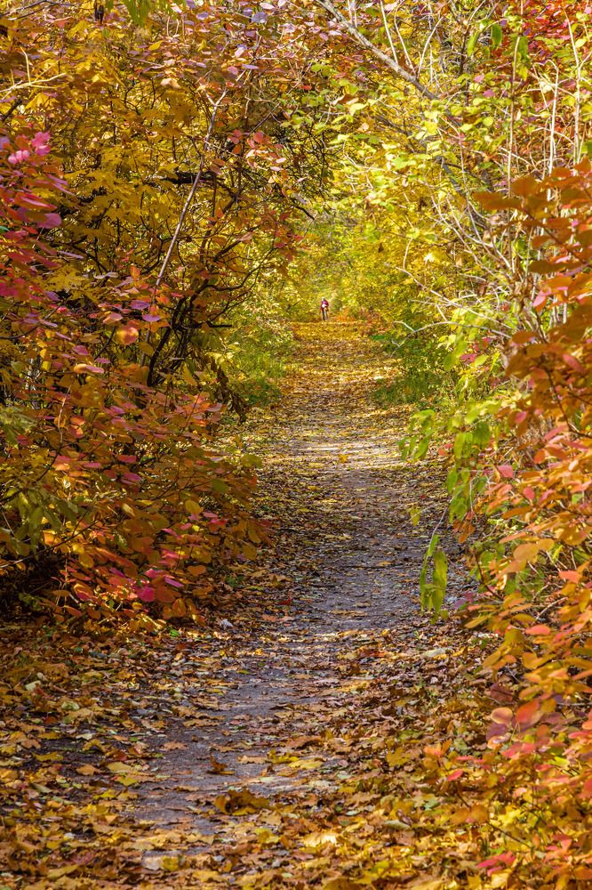 Осенняя палитра