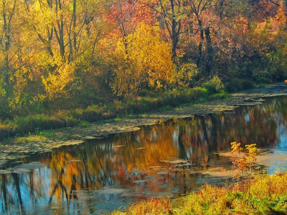 Photograph by Яна Зубкова