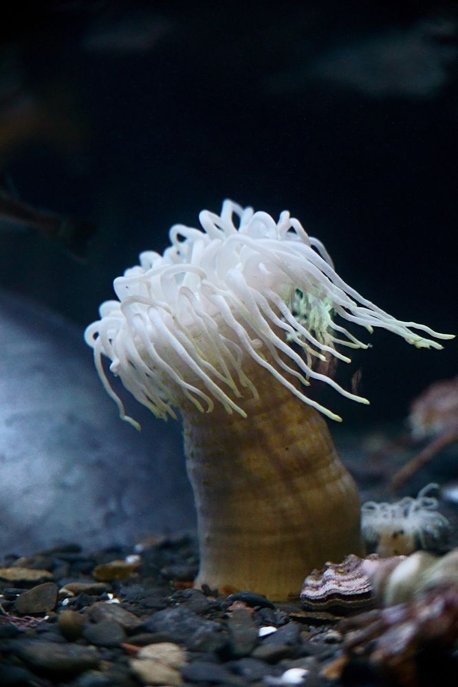 Photograph by Наталья Сенотрусова