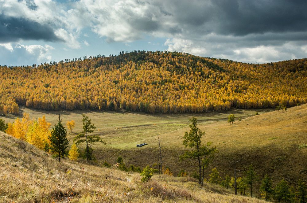 Photograph by Алексей Митрофанов