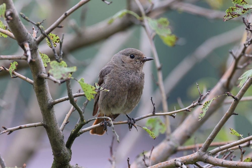 Photograph by Илья Пономарев