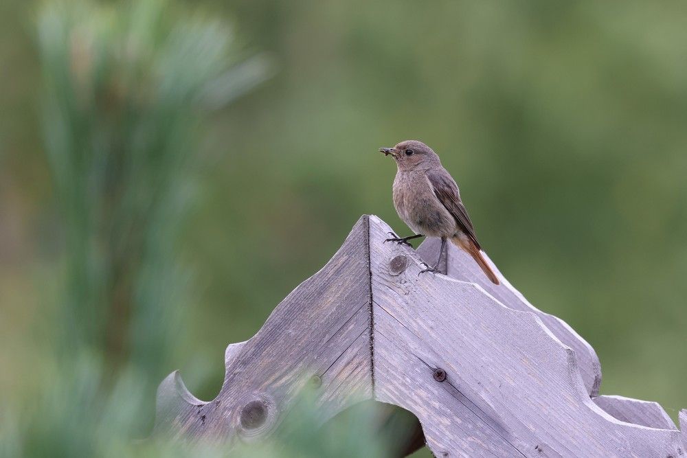 Photograph by Илья Пономарев