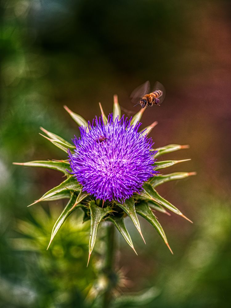 Photograph by Владимир Кваша