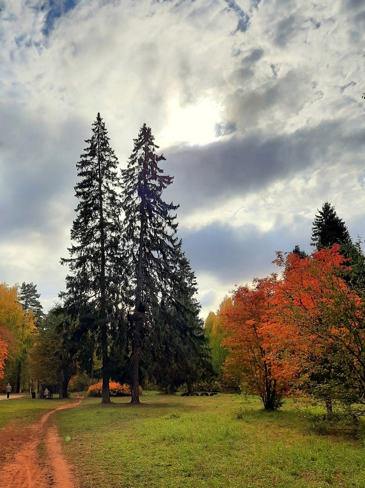 Фотография автора Ольга Кунакова