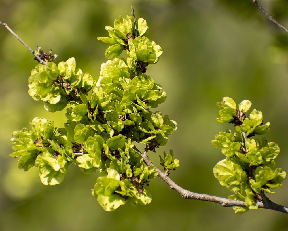 Photograph by Блохина Ольга