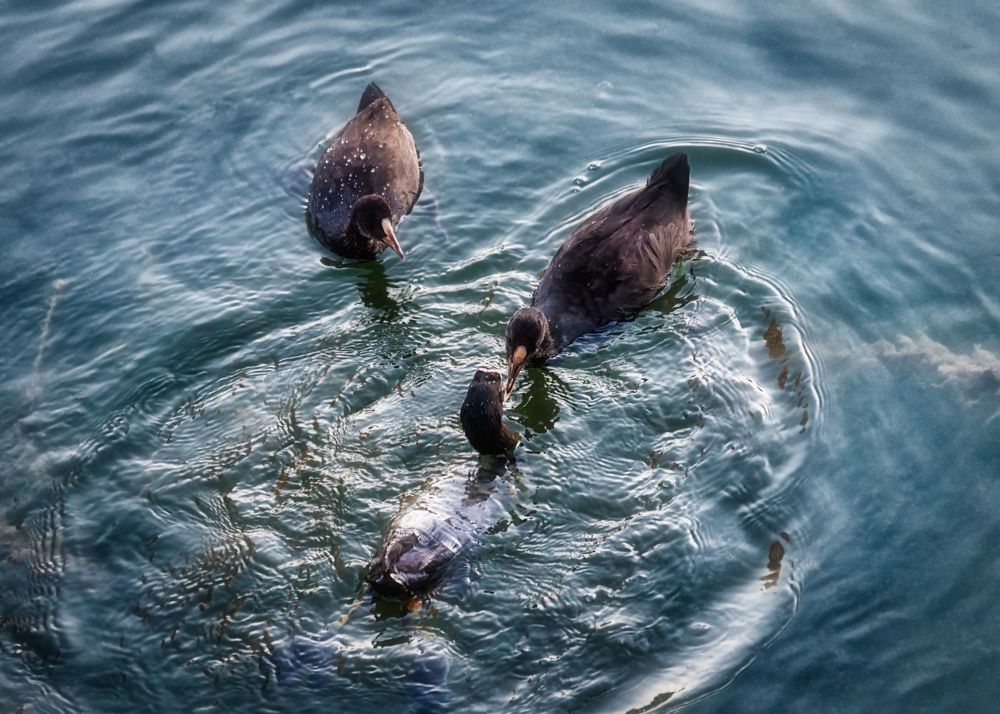 Photograph by Владимир Кваша