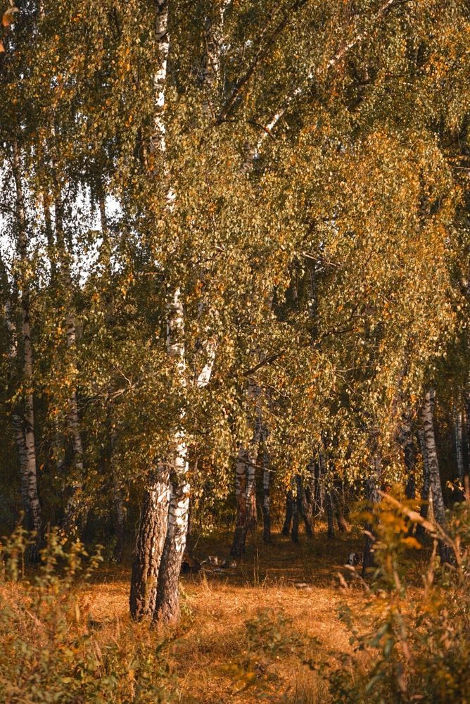 Photograph by Анна Якименко