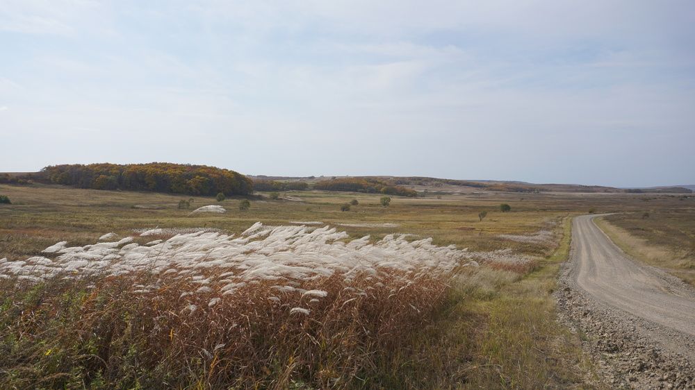 Photograph by Оксана Трофименко