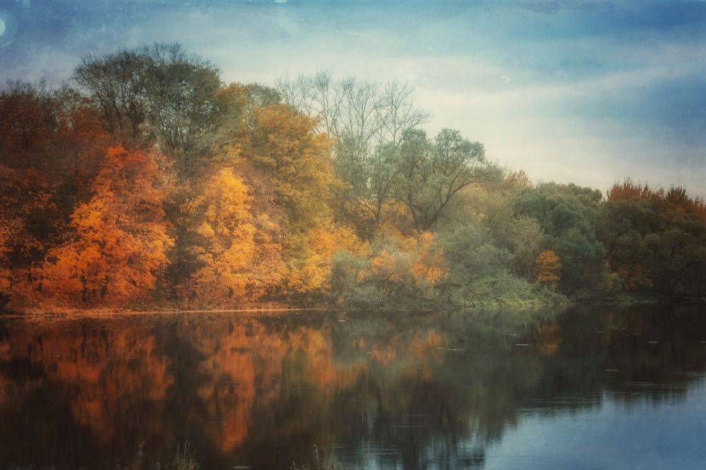 Photograph by Света Богоявленская