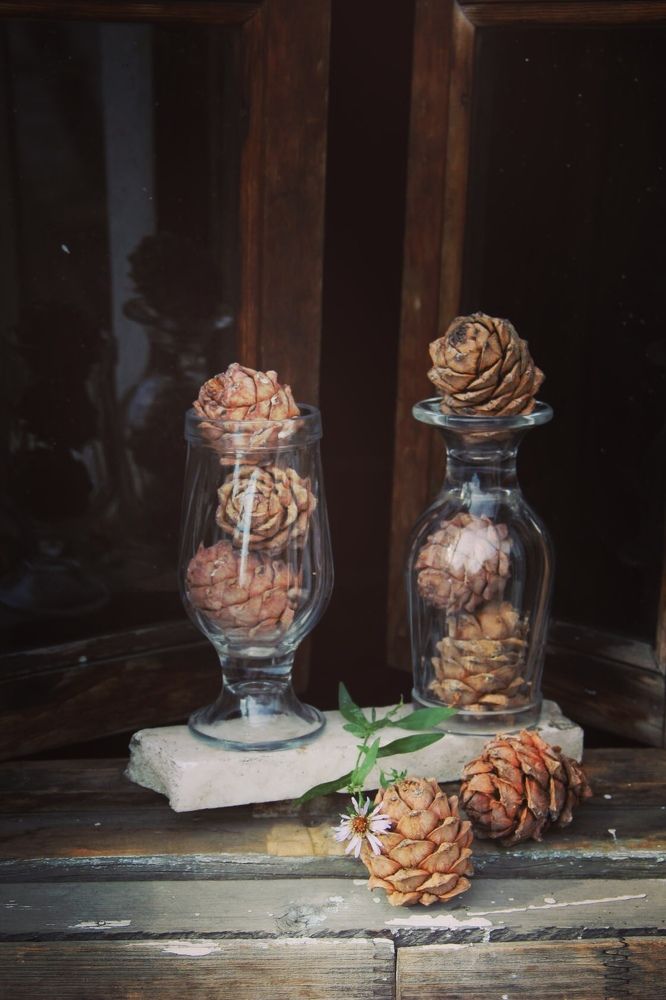 Photograph by Алина