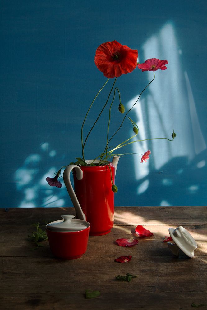 Photograph by Надежда Кузнецова