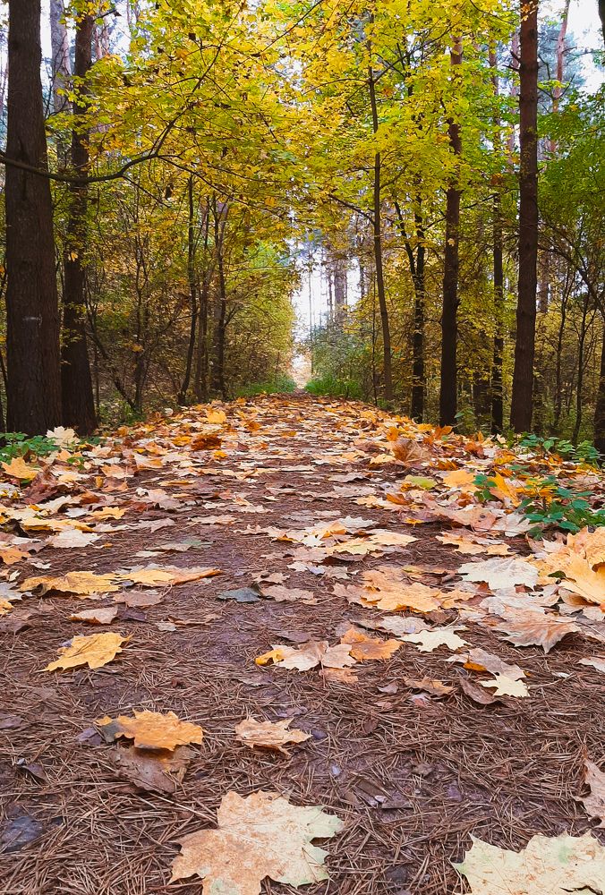 Photograph by Оксана Корепанова