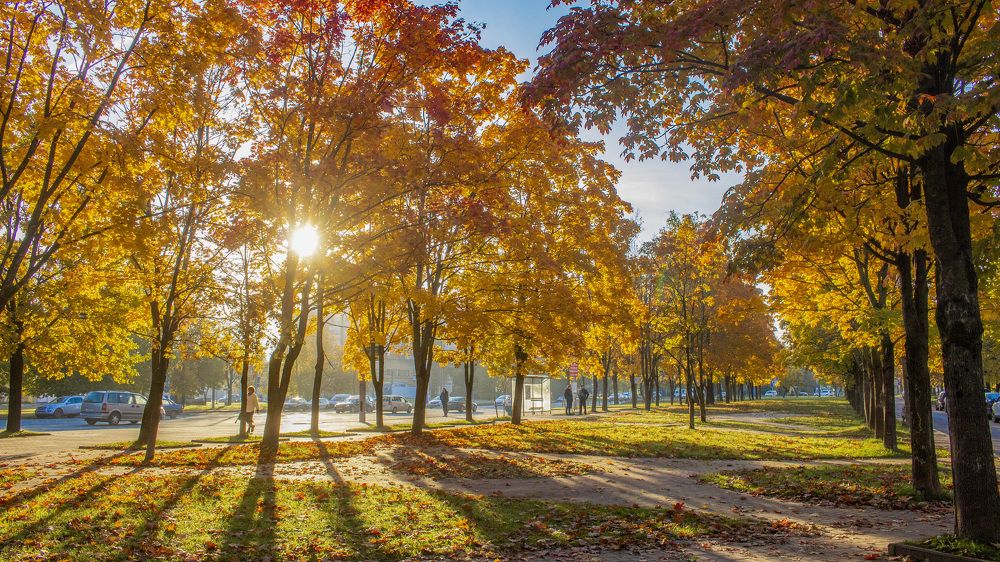 Photograph by Алексей Борисов