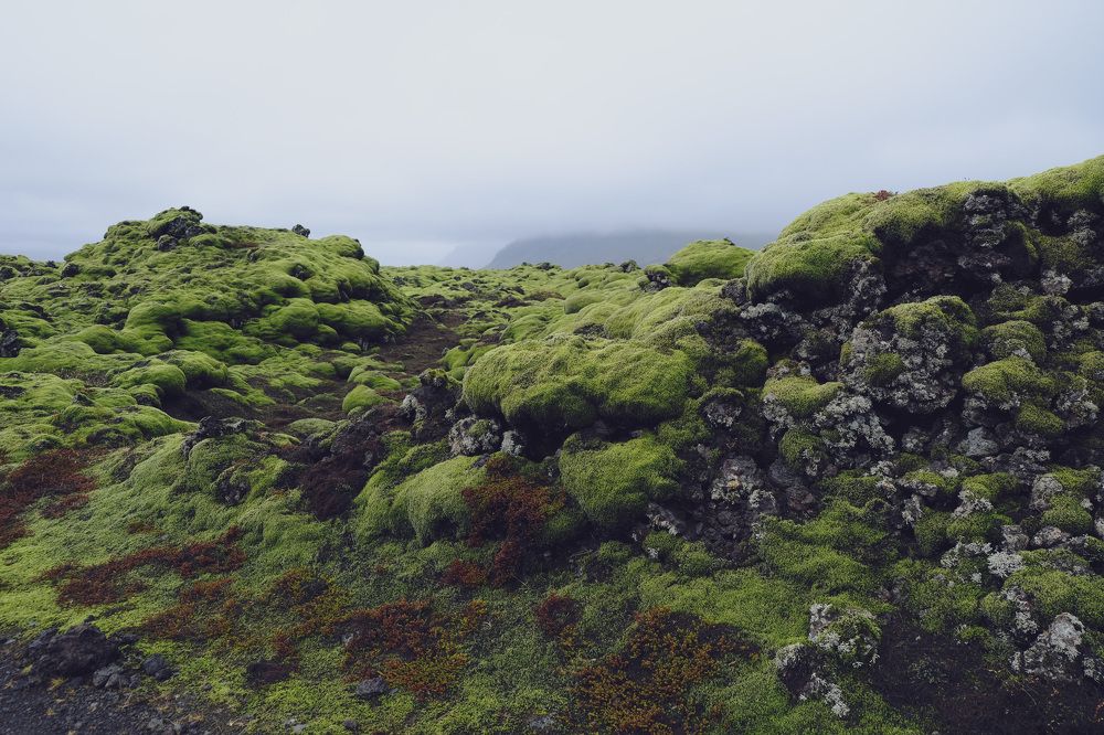 Photograph by Наталья Молоткова