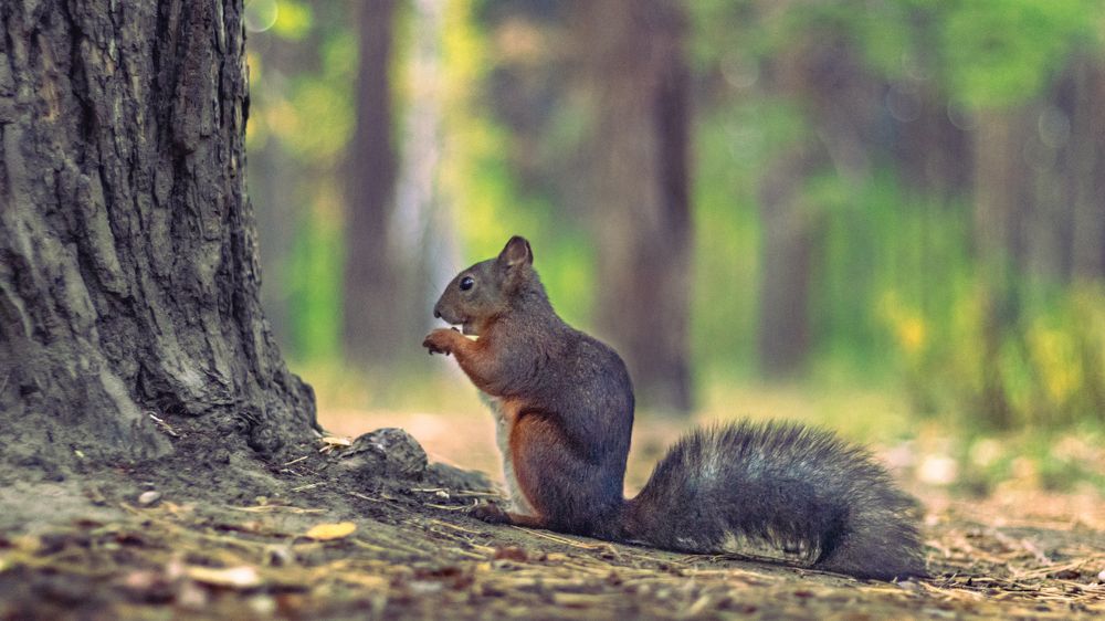 Photograph by Евгений Кузьмин