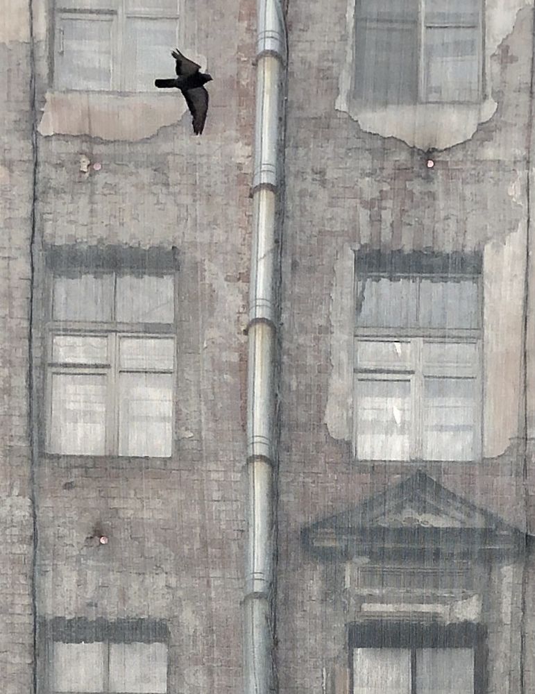 Photograph by Мария Бессмертная