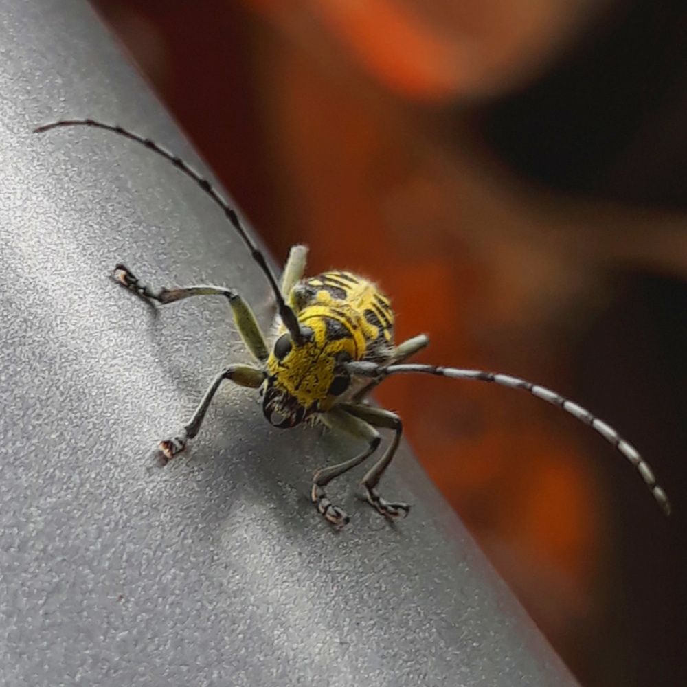 Photograph by Елена Тимченко