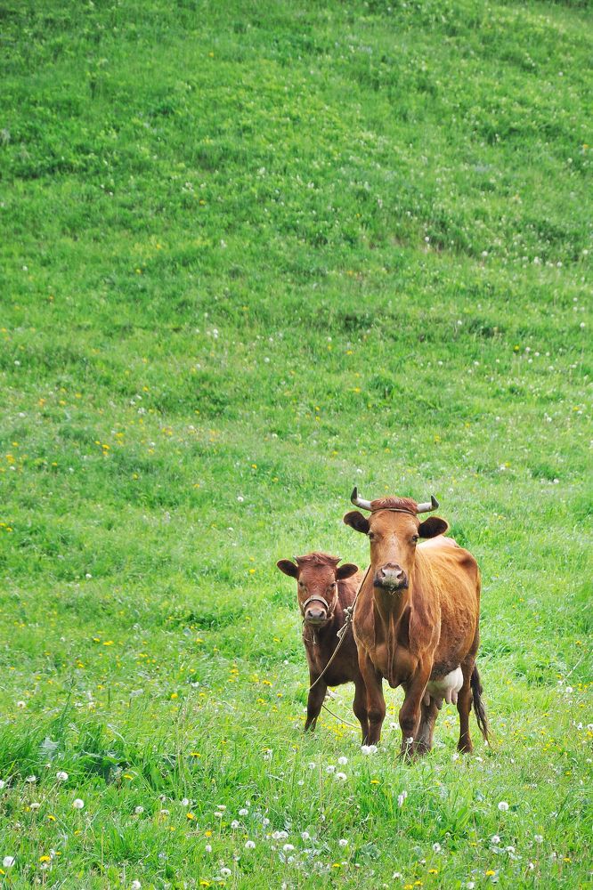 Photograph by Оксана Астрова