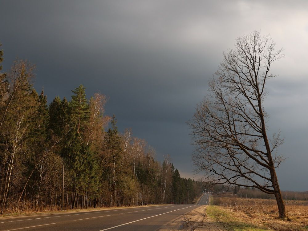 Photograph by Илья Пономарев