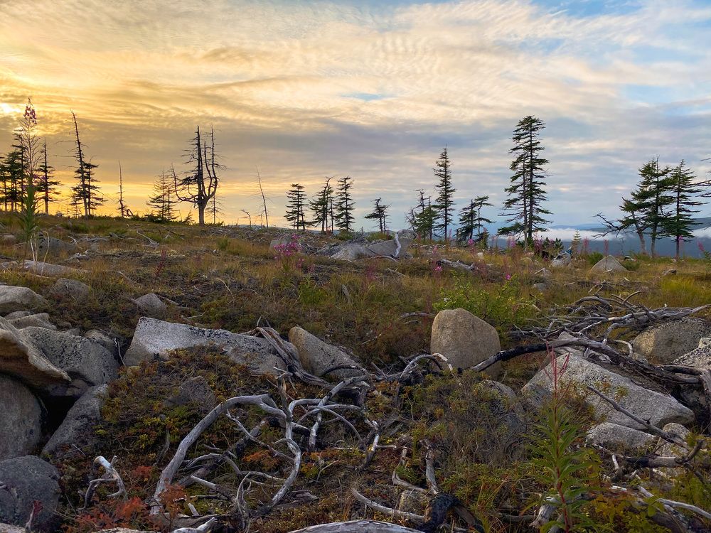 Photograph by Евгения Казакова