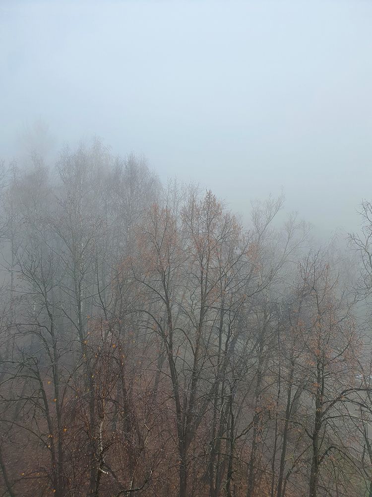 Фотография автора Надежда Лисицына