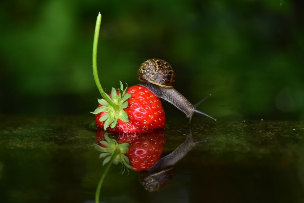 Photograph by Светлана Ивановна